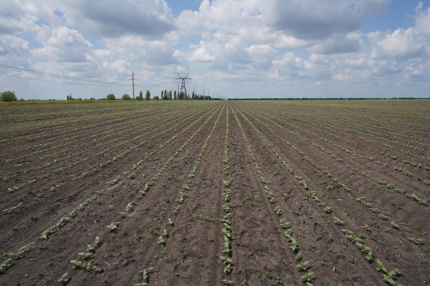 Хмельниччина посідає 6 місце за кількістю проданих сільськогосподарських земель