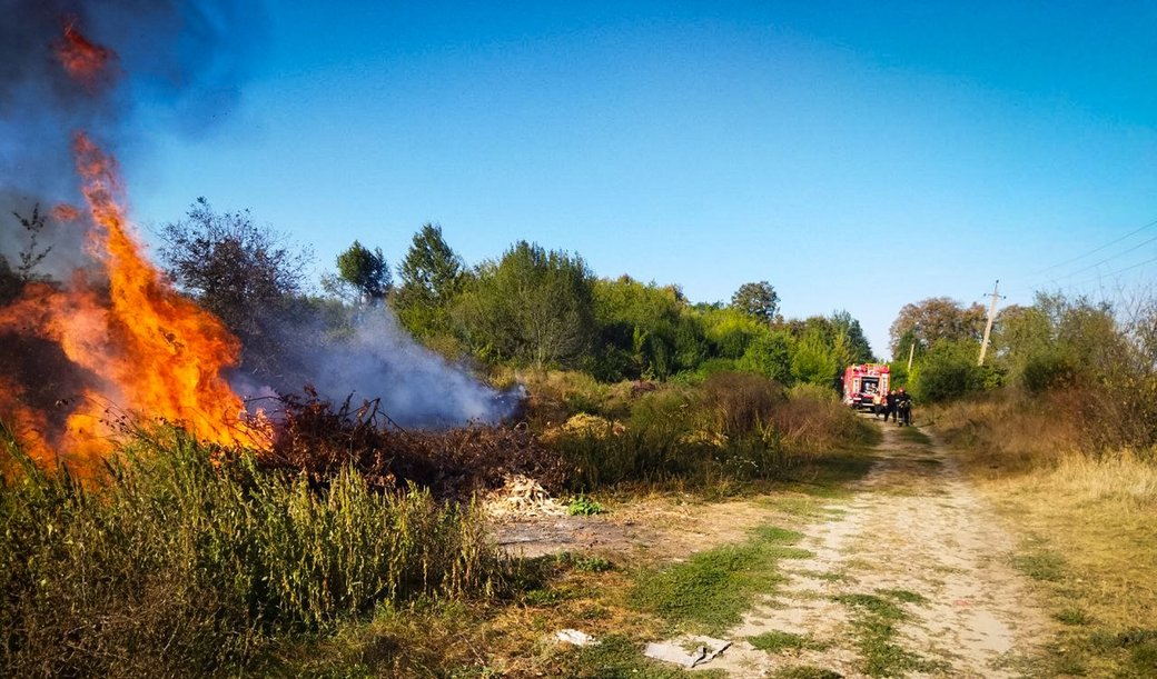 Хмельниччина у вогні: пожежі знищили понад 8000 кв.м екосистем